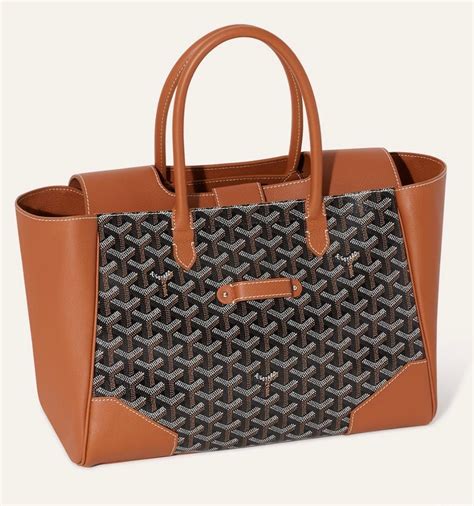 biy goyard new